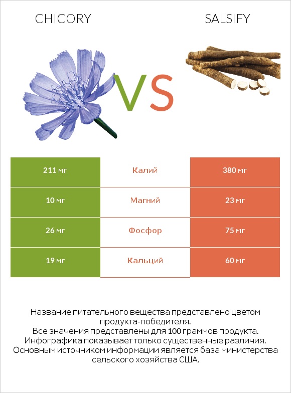 Chicory vs Salsify infographic