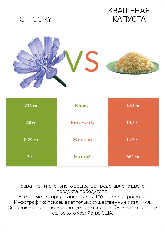 Chicory vs Квашеная капуста infographic