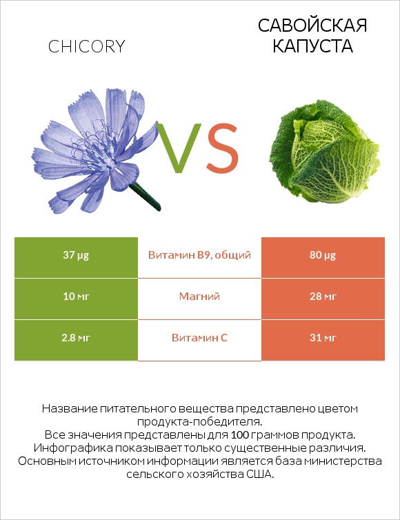 Chicory vs Савойская капуста infographic