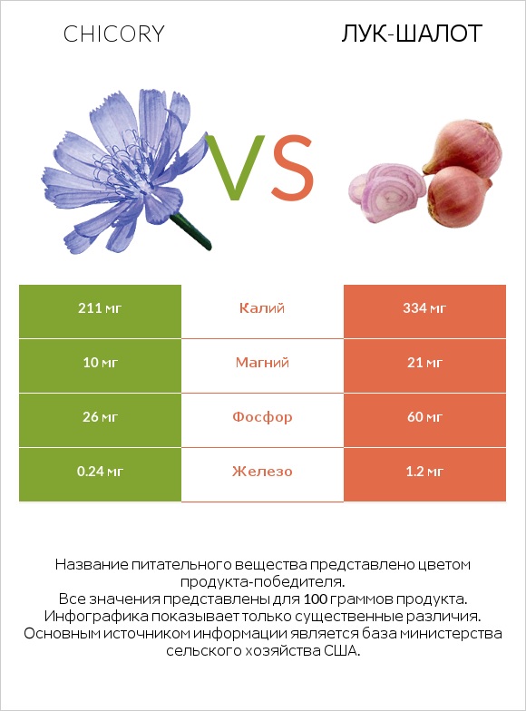 Chicory vs Лук-шалот infographic