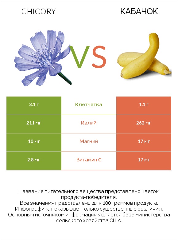 Chicory vs Кабачок infographic