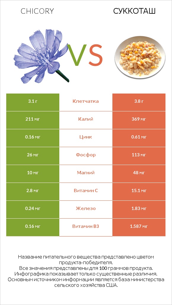 Chicory vs Суккоташ infographic