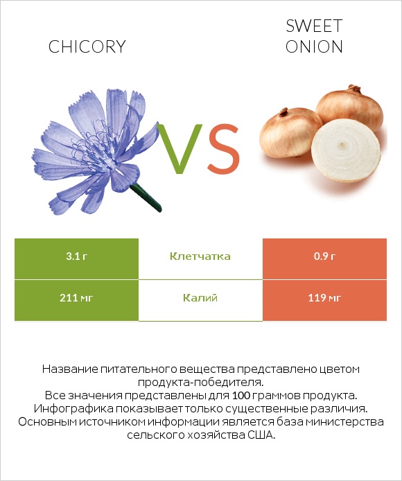 Chicory vs Sweet onion infographic