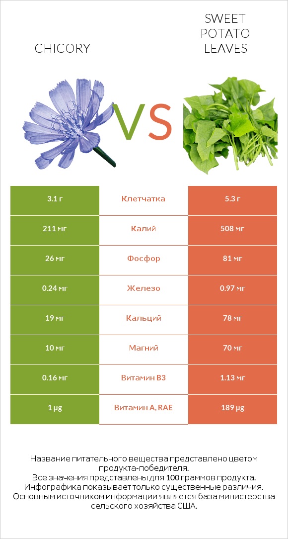 Chicory vs Sweet potato leaves infographic