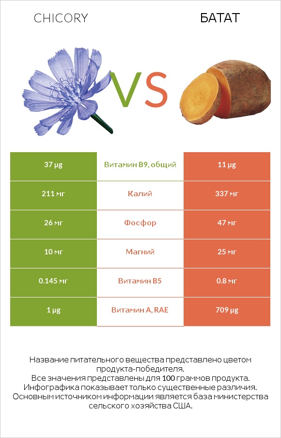 Chicory vs Батат infographic