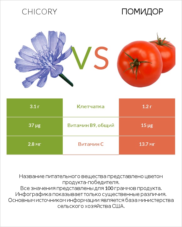 Chicory vs Помидор infographic