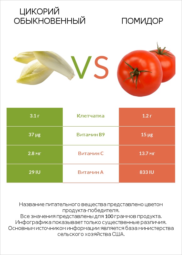 Chicory vs Помидор infographic