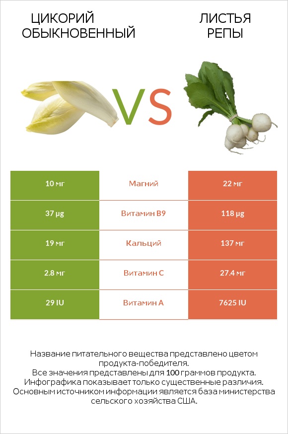 Chicory vs Turnip greens infographic