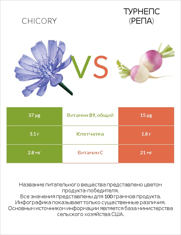 Chicory vs Турнепс (репа) infographic