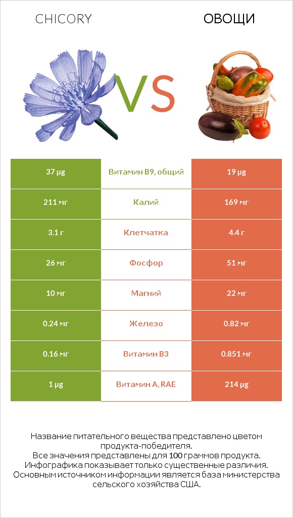 Chicory vs Овощи infographic