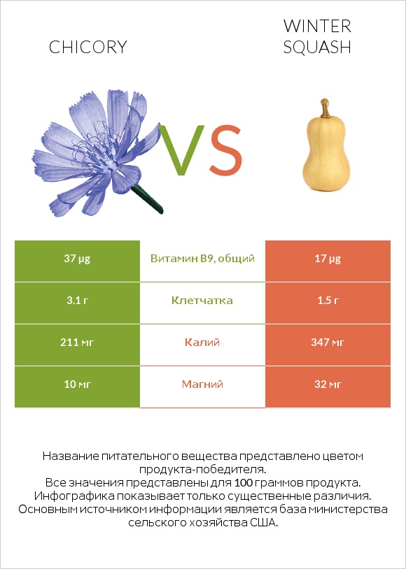 Chicory vs Winter squash infographic