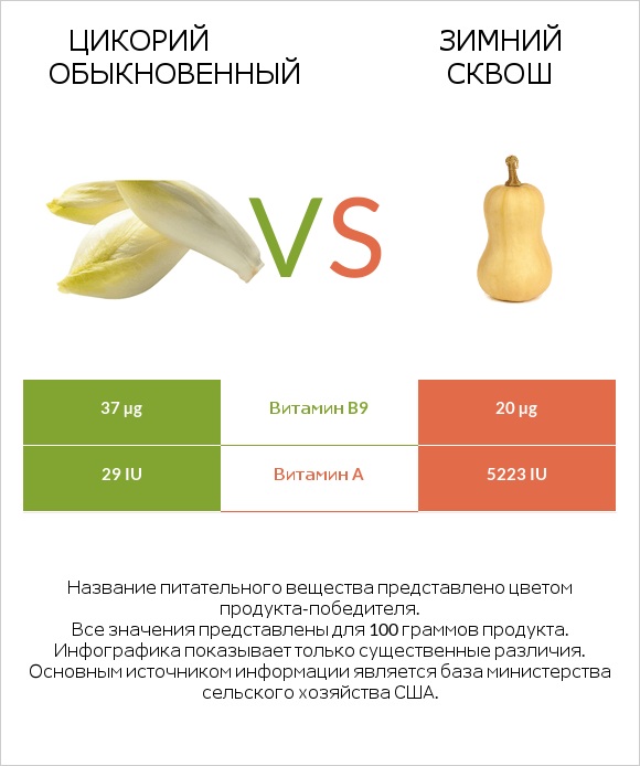 Цикорий обыкновенный vs Зимний сквош infographic