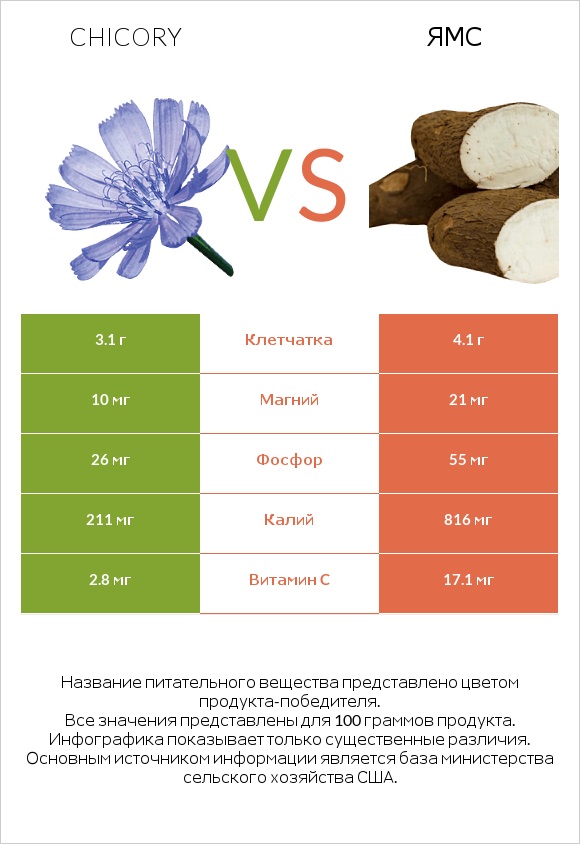 Chicory vs Ямс infographic