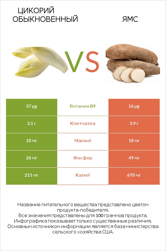 Chicory vs Ямс infographic