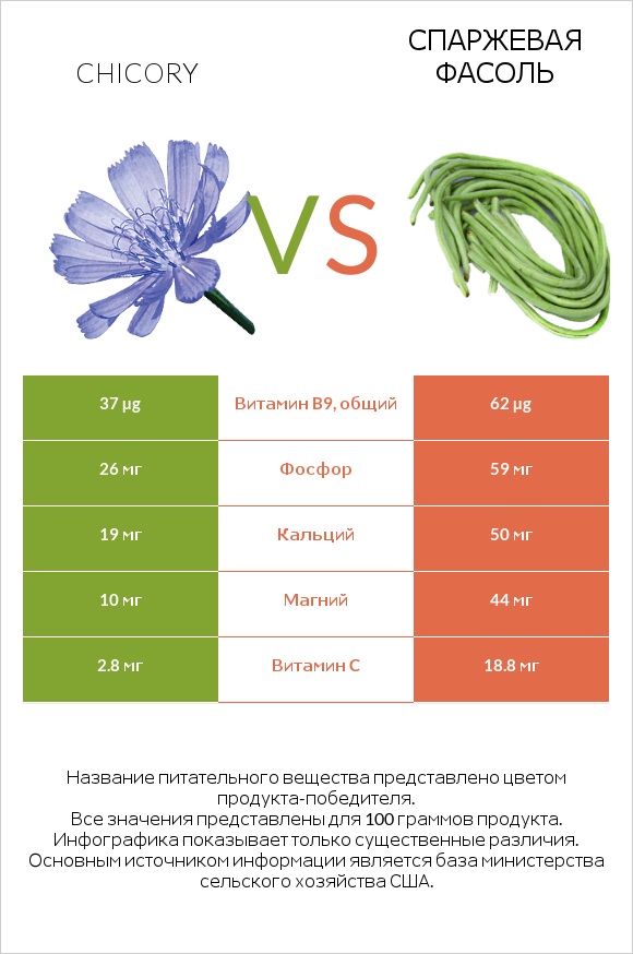 Chicory vs Спаржевая фасоль infographic