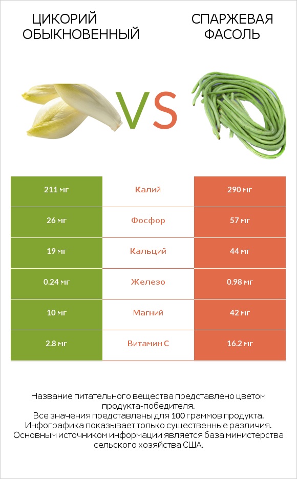 Цикорий обыкновенный vs Спаржевая фасоль infographic