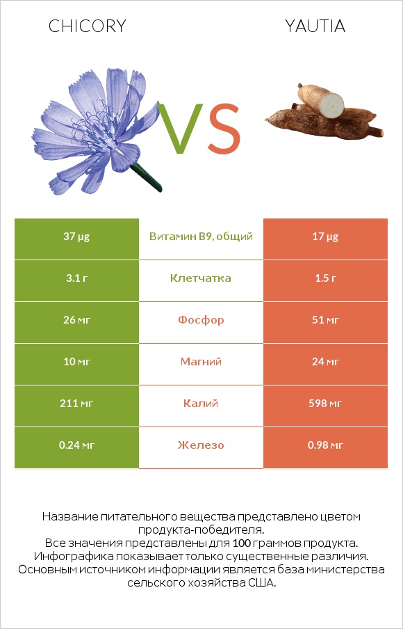 Chicory vs Yautia infographic