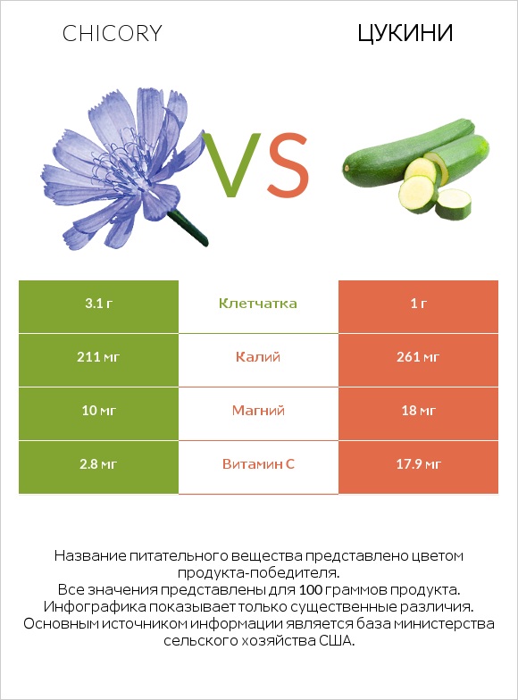 Chicory vs Цукини infographic