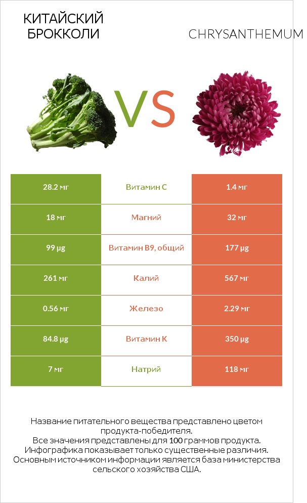 Китайский брокколи vs Chrysanthemum infographic