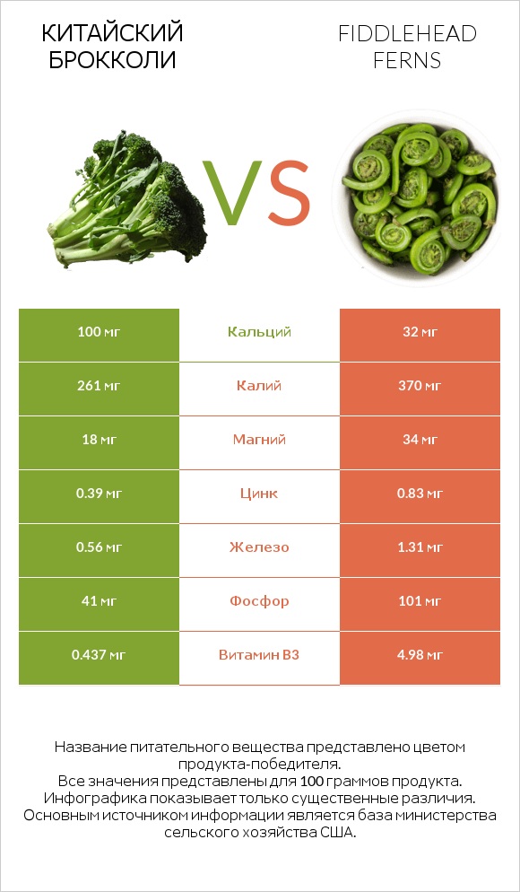 Китайский брокколи vs Fiddlehead ferns infographic