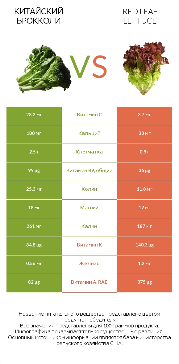 Китайский брокколи vs Red leaf lettuce infographic