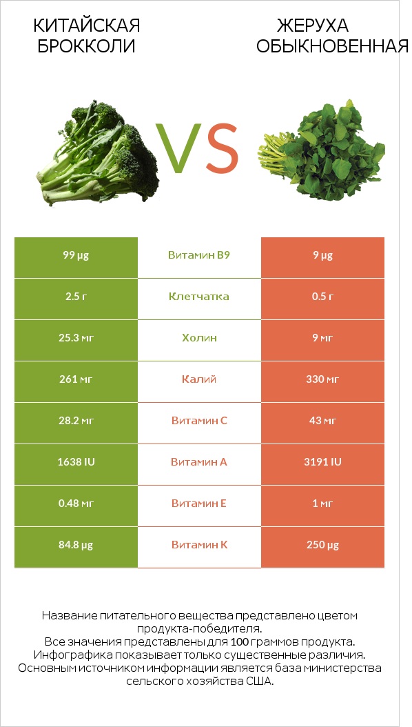 Китайская брокколи vs Жеруха обыкновенная infographic