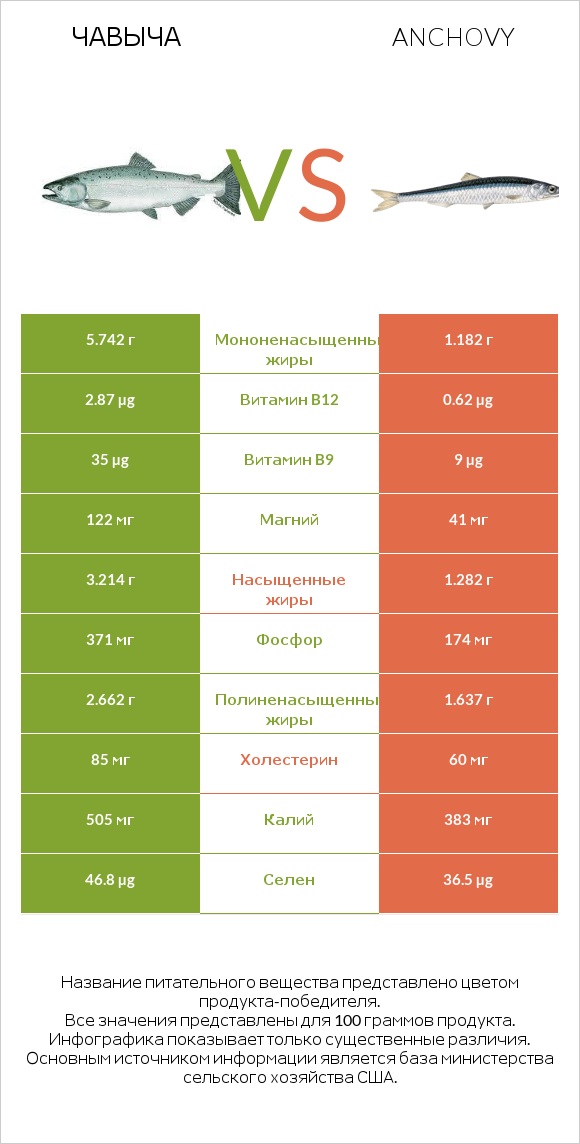 Чавыча vs Anchovy infographic