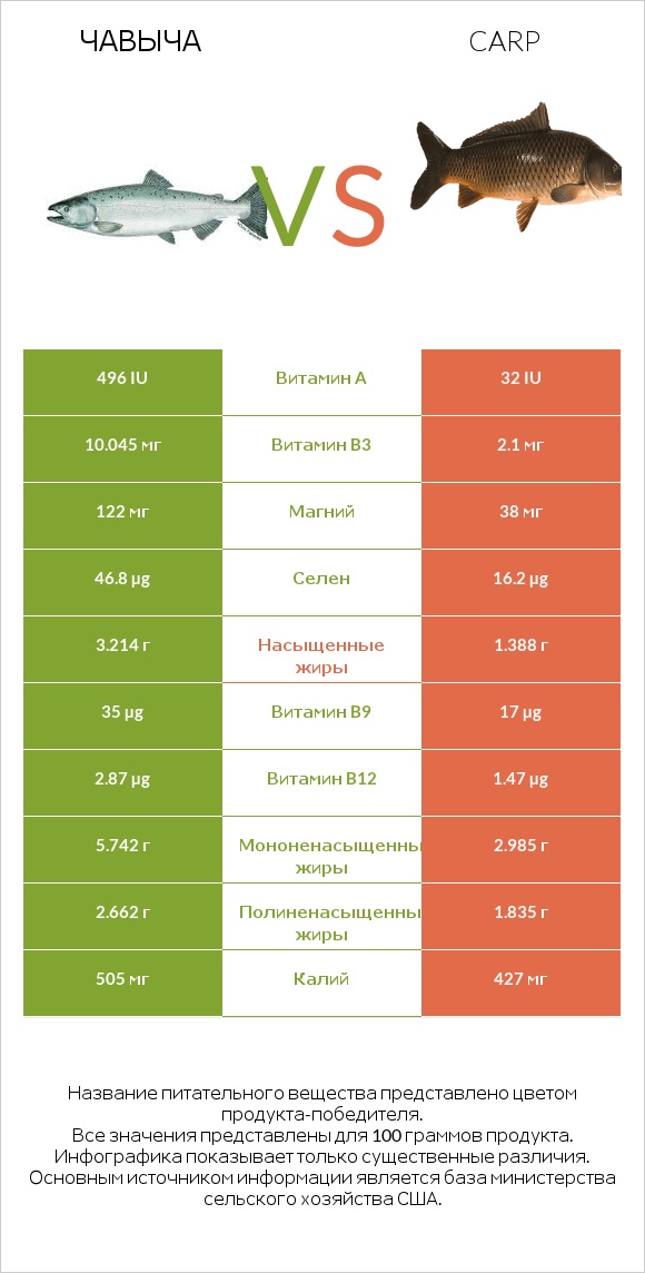 Чавыча vs Carp infographic