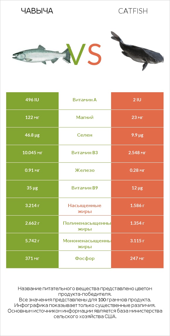 Чавыча vs Catfish infographic