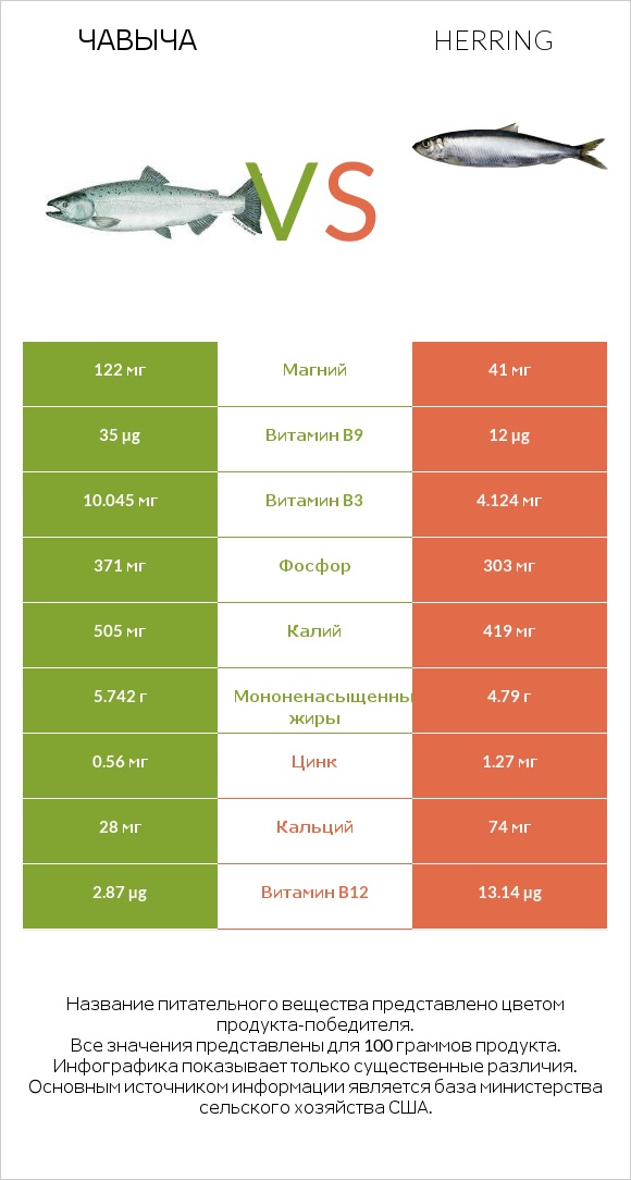 Чавыча vs Herring infographic