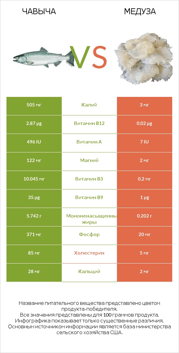 Чавыча vs Медуза infographic