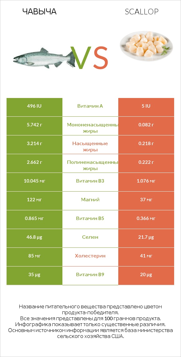 Чавыча vs Scallop infographic