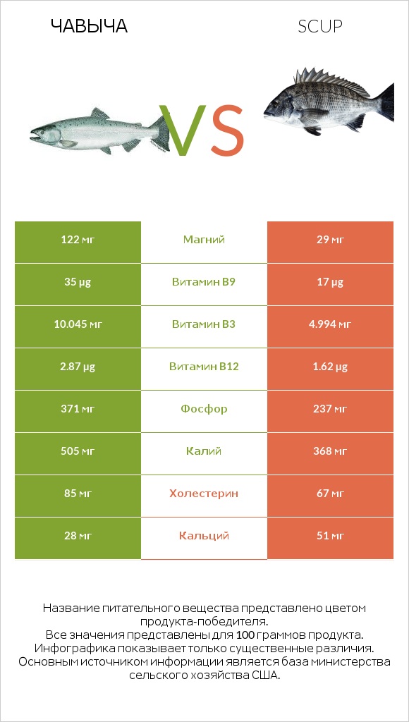 Чавыча vs Scup infographic