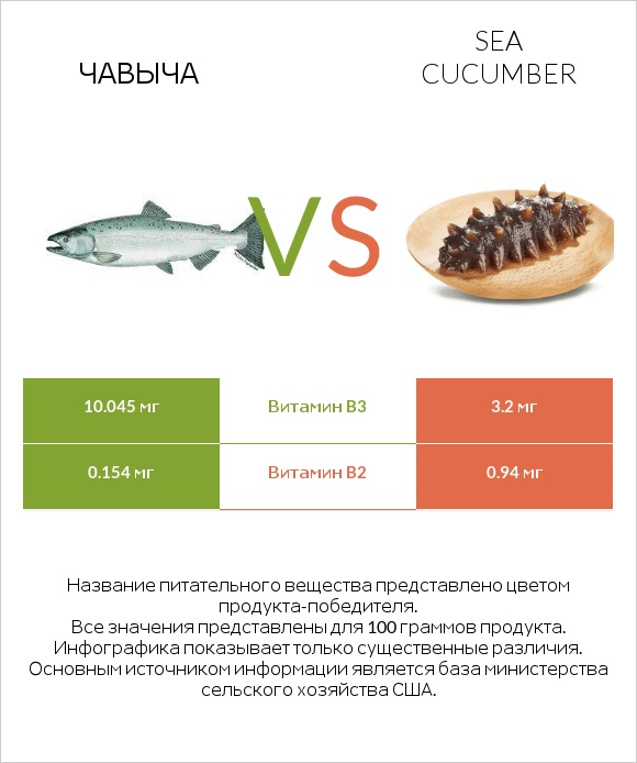 Чавыча vs Sea cucumber infographic