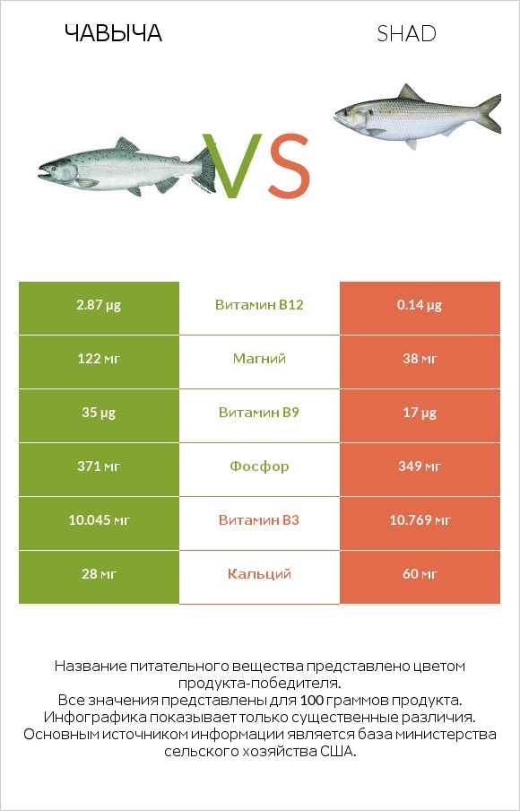 Чавыча vs Shad infographic