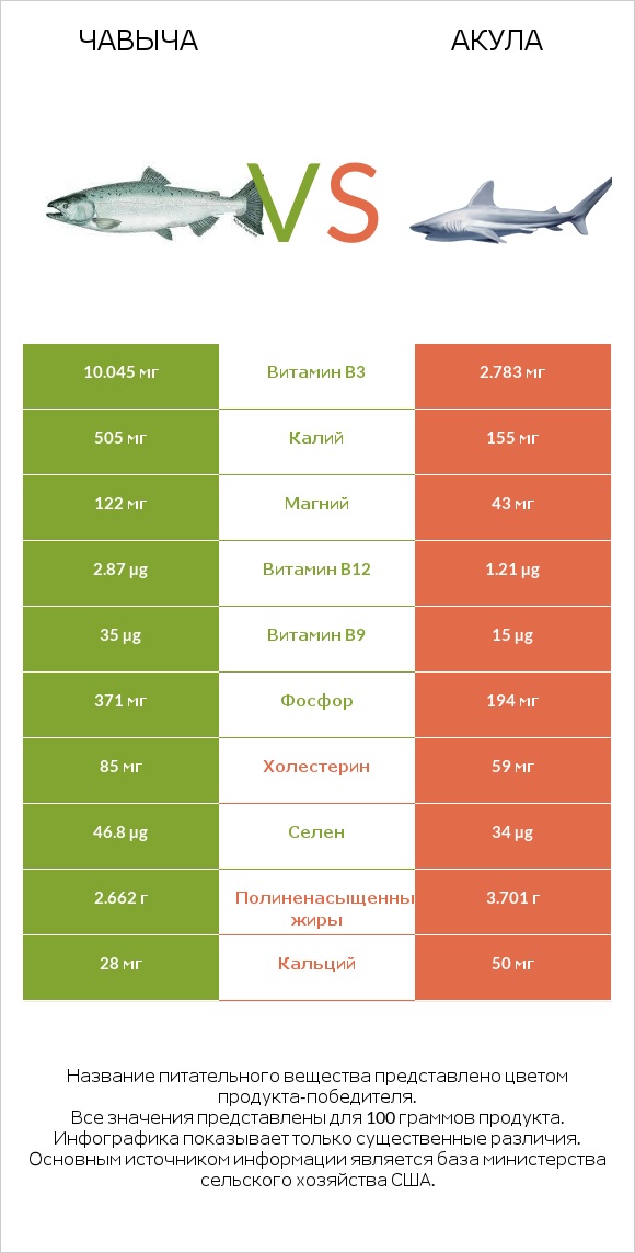 Чавыча vs Акула infographic