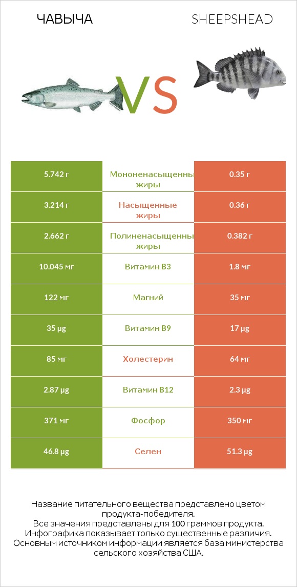 Чавыча vs Sheepshead infographic