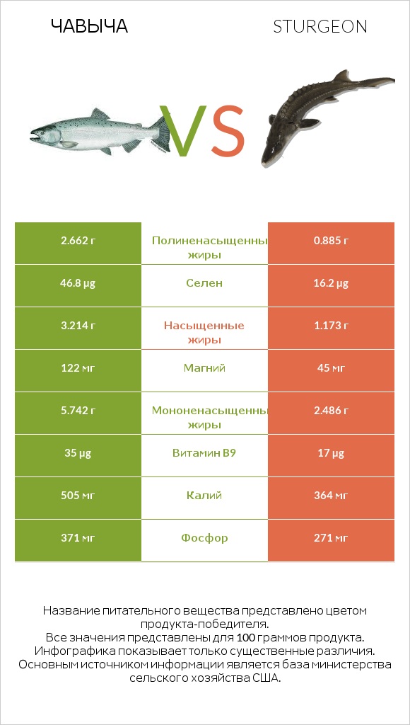 Чавыча vs Sturgeon infographic