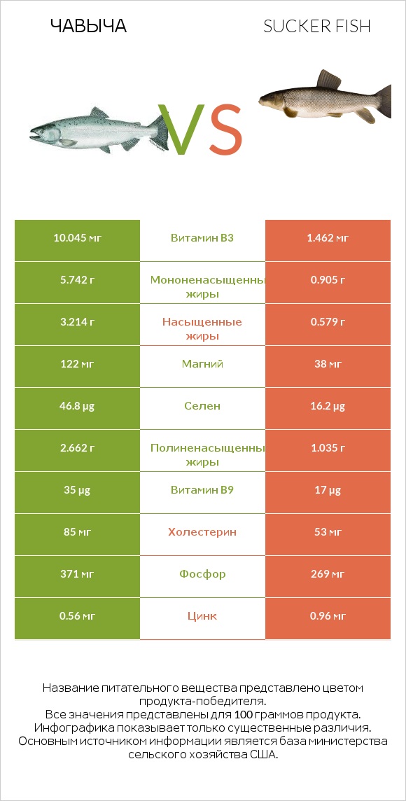 Чавыча vs Sucker fish infographic