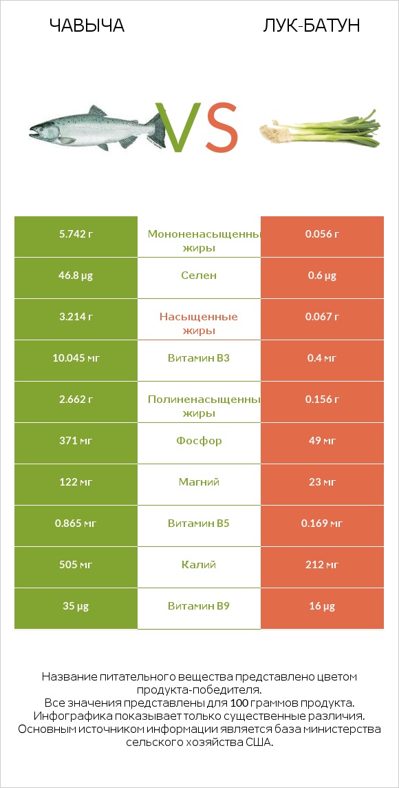 Чавыча vs Лук-батун infographic