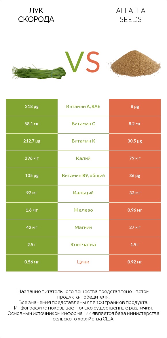Лук скорода vs Alfalfa seeds infographic