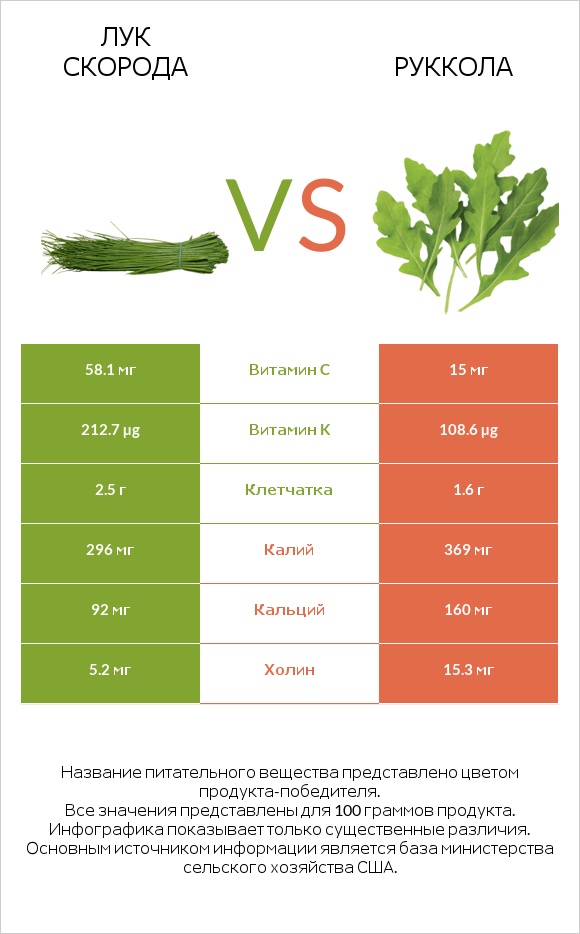 Лук скорода vs Руккола infographic