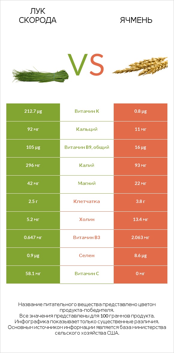 Лук скорода vs Ячмень infographic