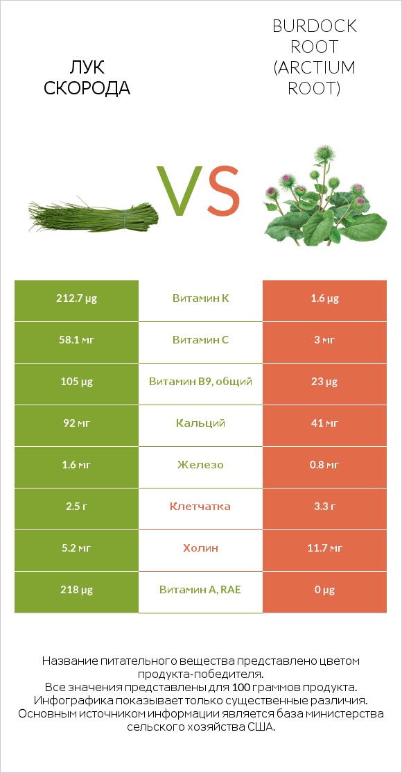Лук скорода vs Burdock root infographic