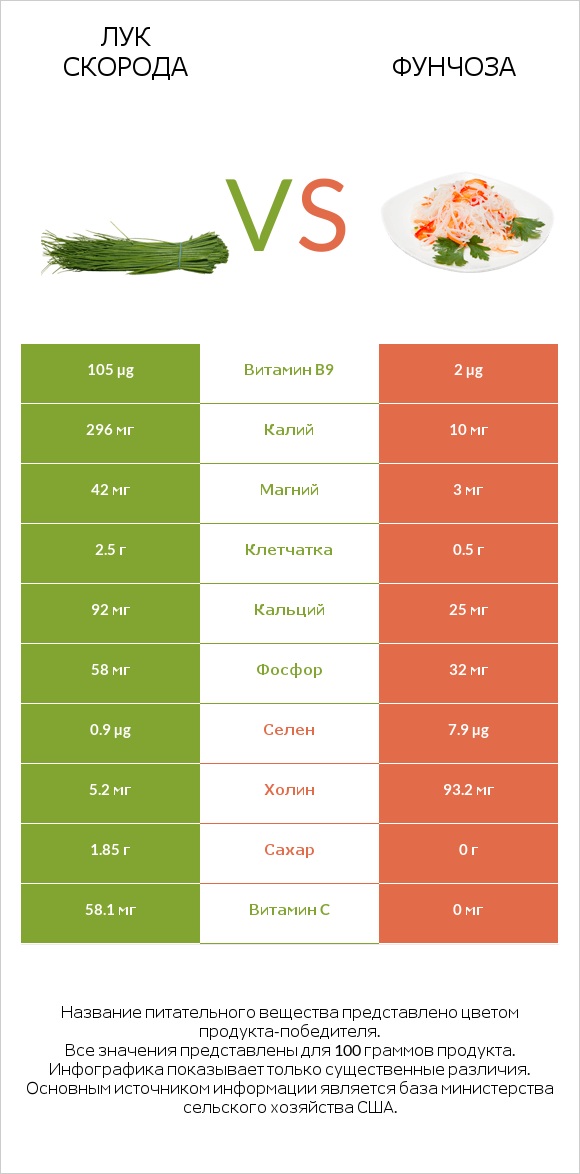 Лук скорода vs Фунчоза infographic