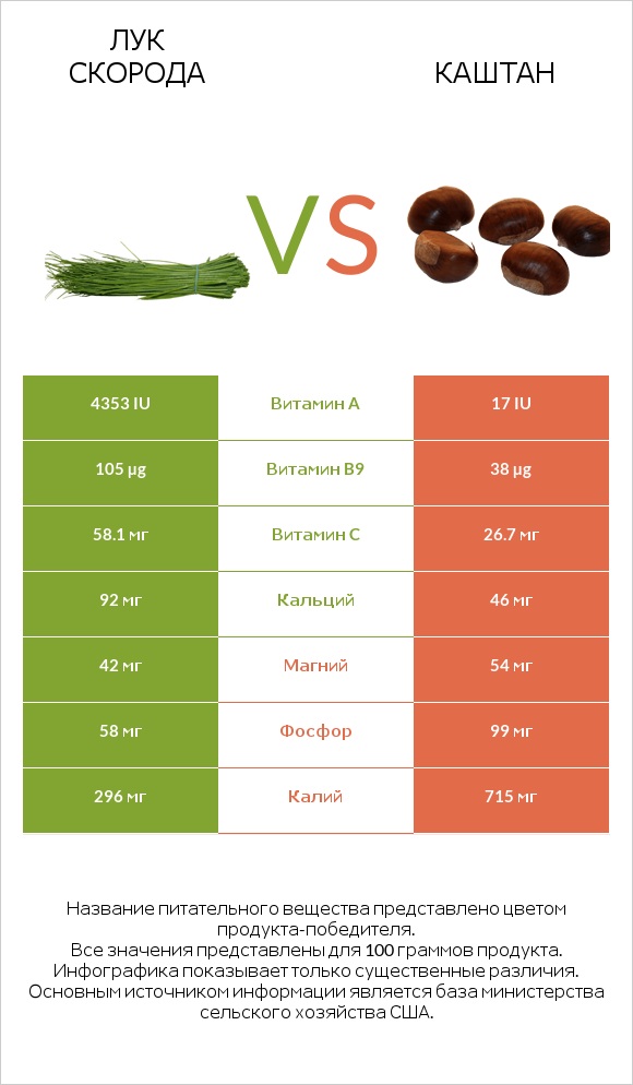 Лук скорода vs Каштан infographic