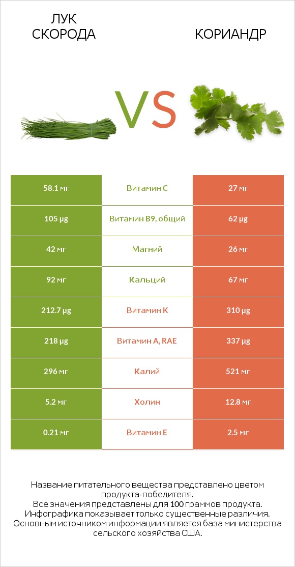 Лук скорода vs Кориандр infographic