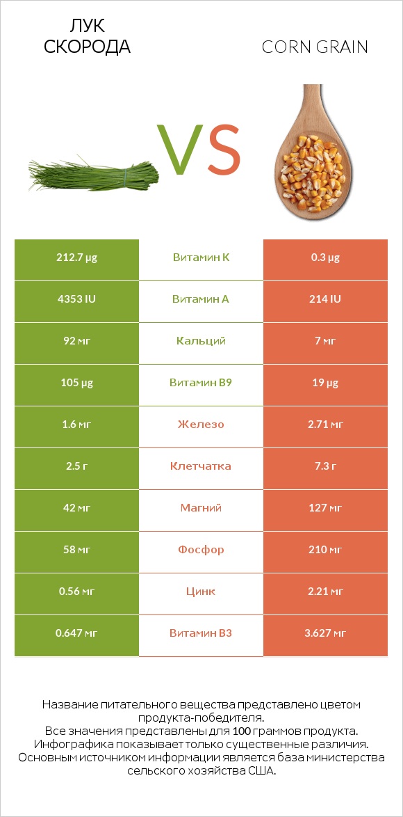 Лук скорода vs Corn grain infographic