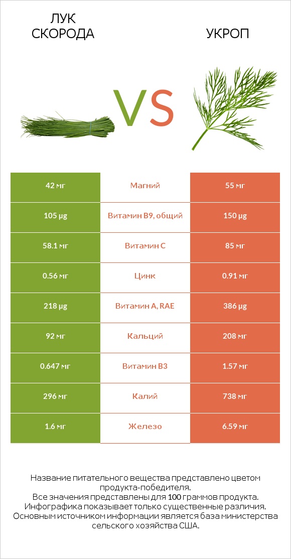 Лук скорода vs Укроп infographic