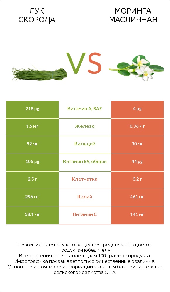 Лук скорода vs Моринга масличная infographic